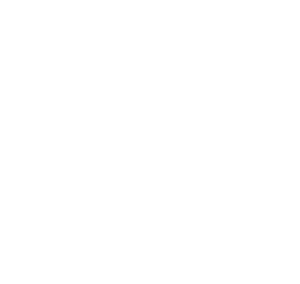 Class 95